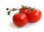 tomatoes